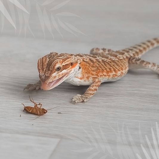 img 2