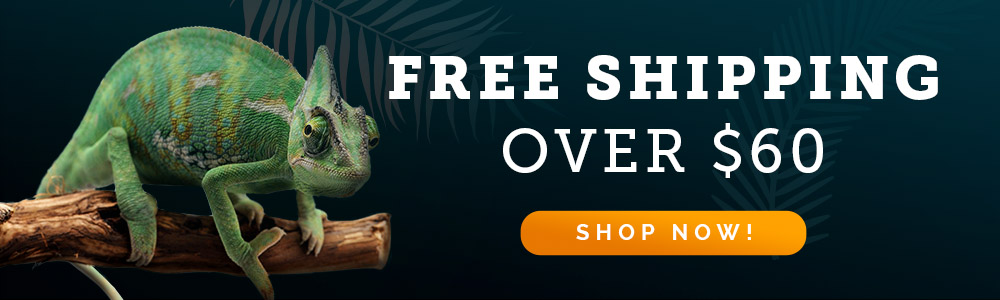 Website banner_mobile